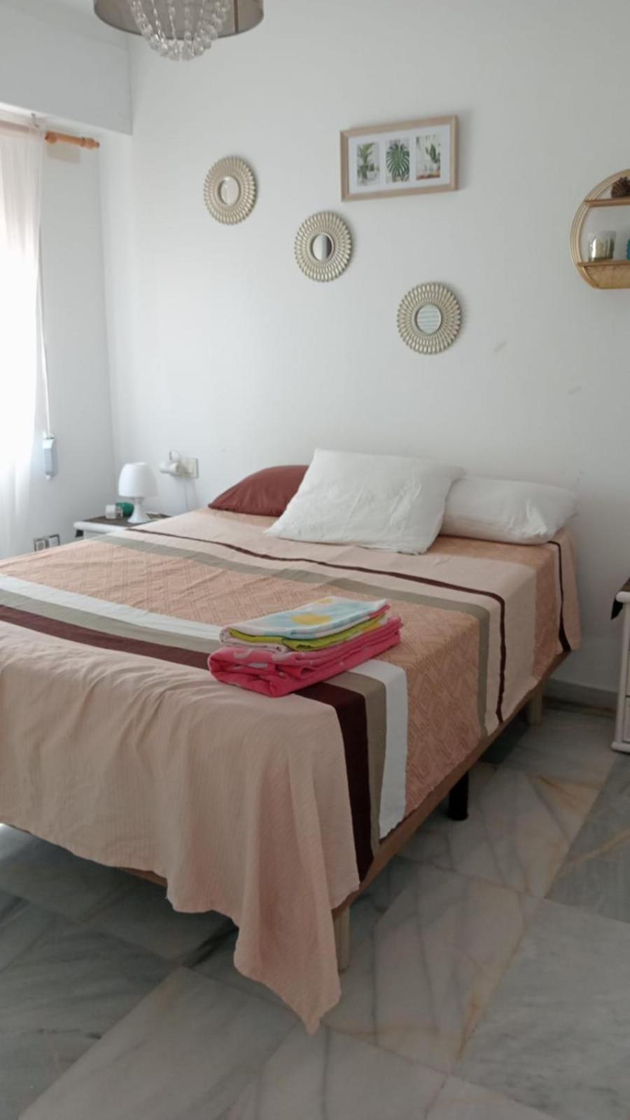 Apartamento Con Wifi, Mascotas Bienvenidas Benidorm Eksteriør bilde